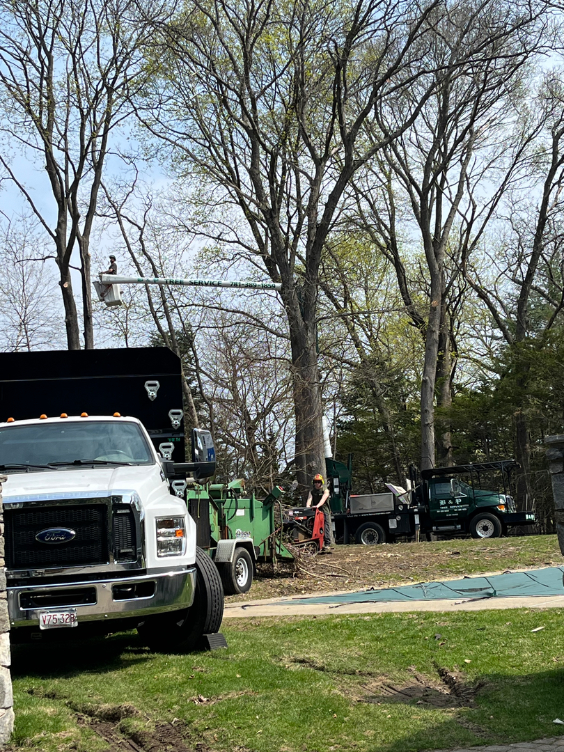 B and P Tree Service Bucket Truck