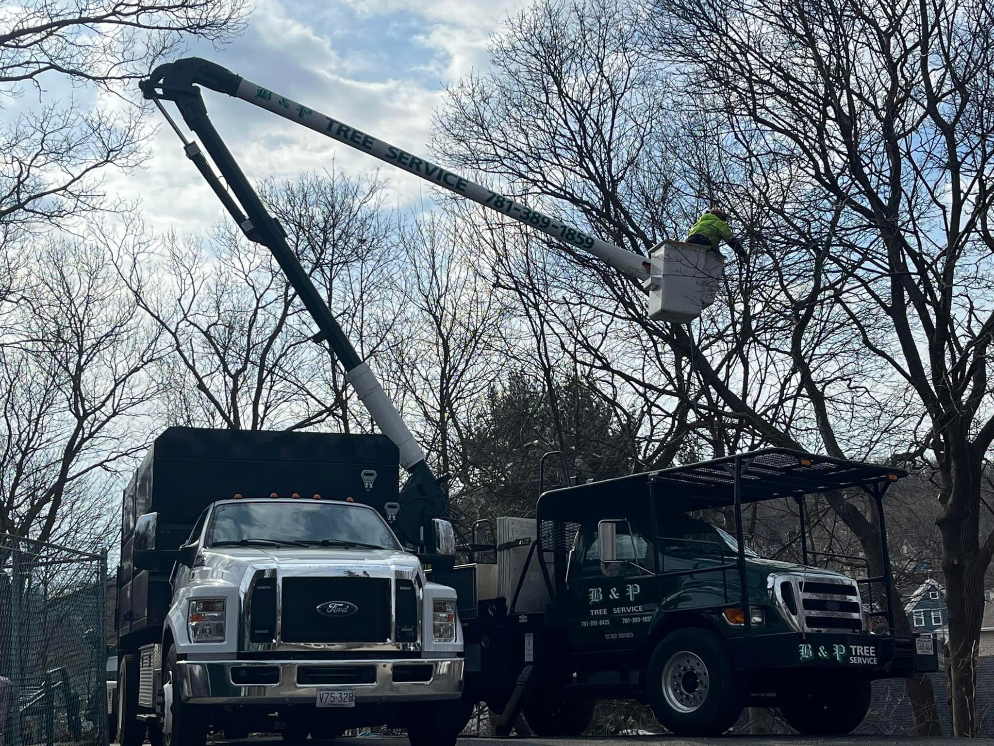 B & P Tree Service bucket truck at work
